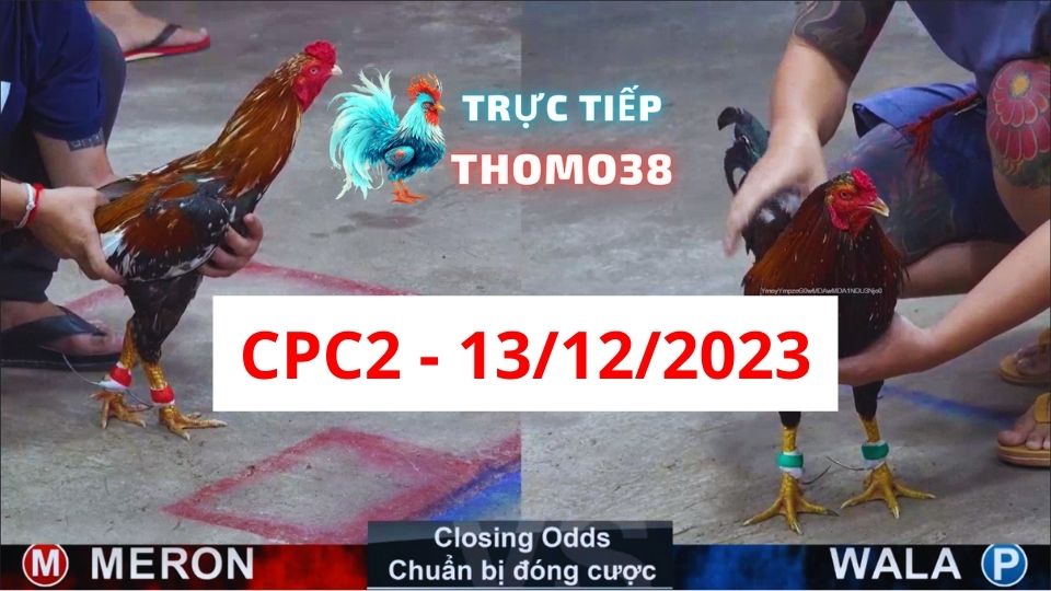 Xem đá gà CPC2 ngày 13-12-2023