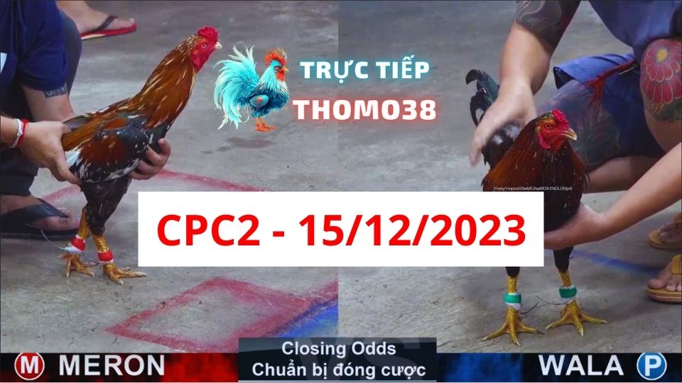 Xem đá gà CPC2 ngày 15-12-2023