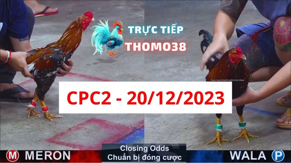 Xem đá gà CPC2 ngày 20-12-2023