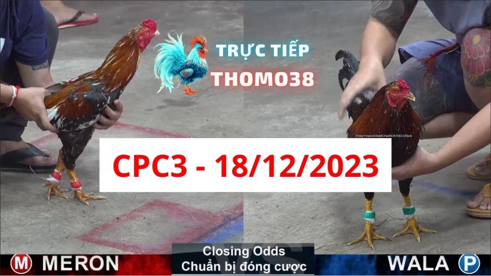 Xem đá gà CPC3 ngày 18-12-2023