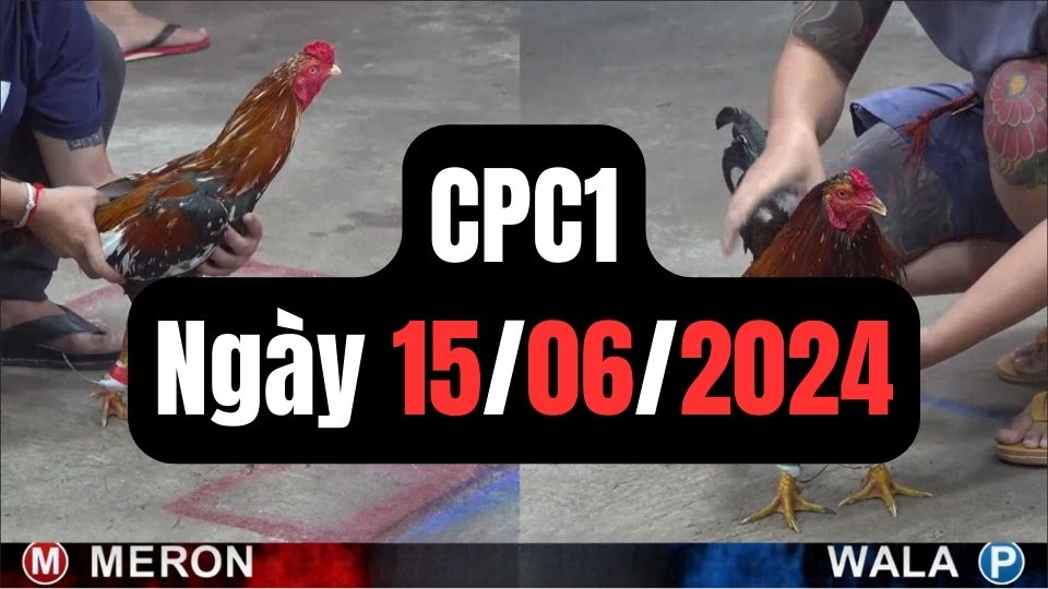 Xem đá gà CPC1 ngày 15-06-2024