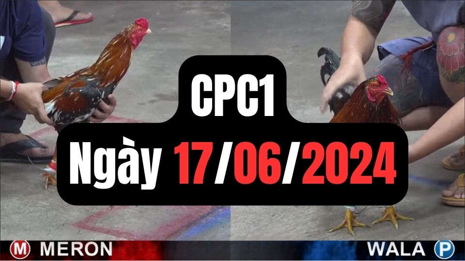 Xem đá gà CPC1 ngày 17-06-2024