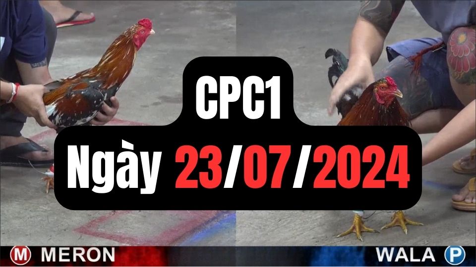 Xem đá gà CPC1 ngày 23-07-2024