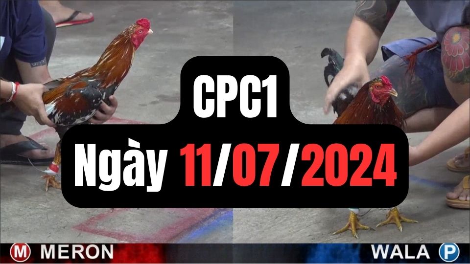 Xem đá gà CPC1 ngày 11-07-2024