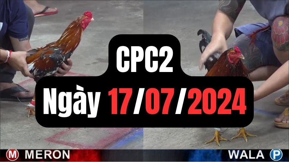 Xem đá gà CPC2 ngày 17-07-2024