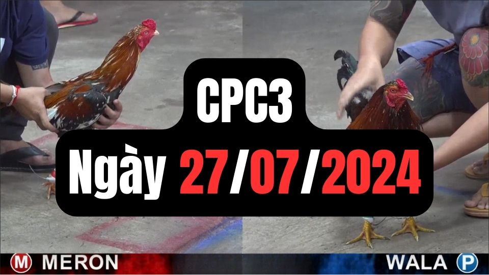 Xem đá gà CPC3 ngày 27-07-2024