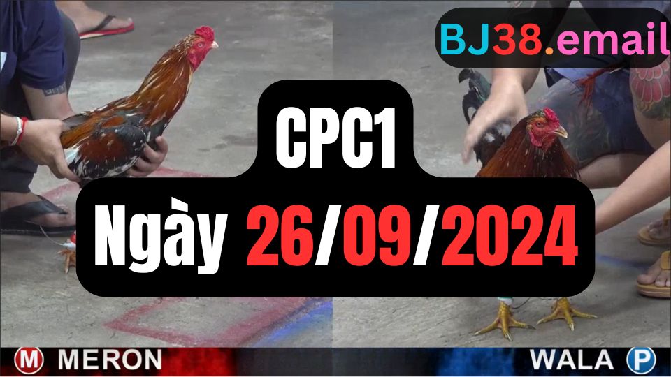 Xem đá gà CPC1 ngày 26-09-2024