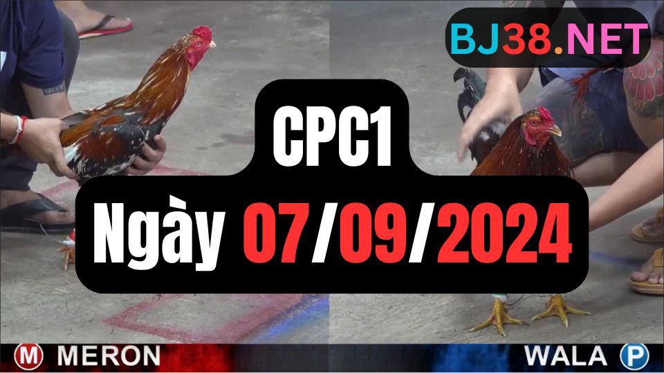 Xem đá gà CPC1 ngày 07-09-2024