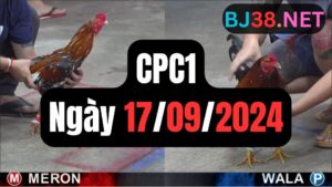 Xem đá gà CPC1 ngày 17-09-2024