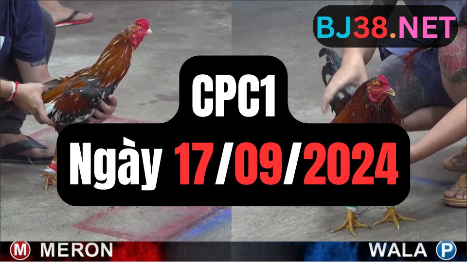 Xem đá gà CPC1 ngày 17-09-2024