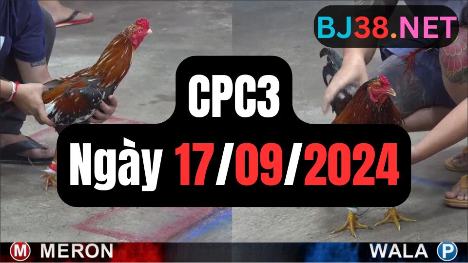 Xem đá gà CPC3 ngày 17-09-2024