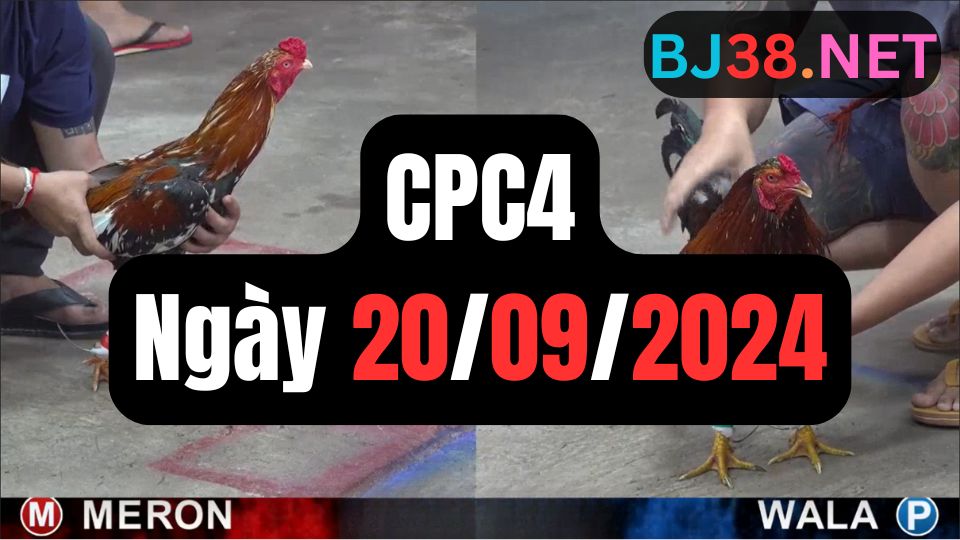 Xem đá gà CPC4 ngày 20-09-2024