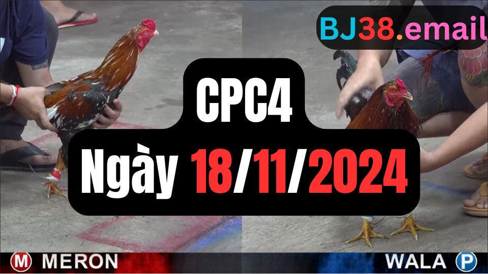 Xem đá gà CPC4 ngày 18-11-2024