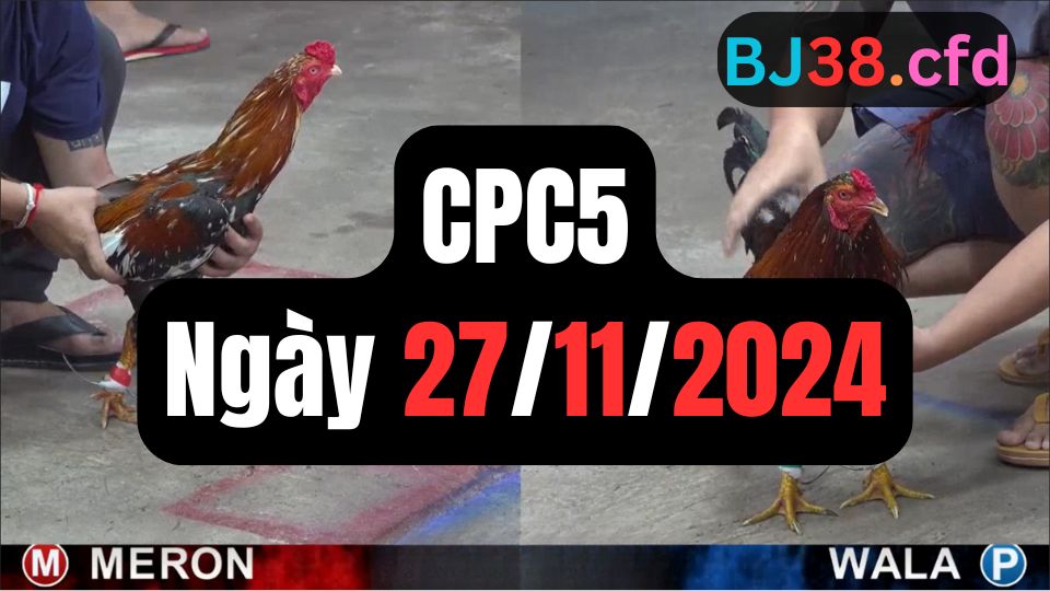 Xem đá gà CPC5 ngày 27-11-2024