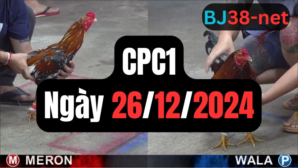 Xem đá gà CPC1 ngày 26-12-2024