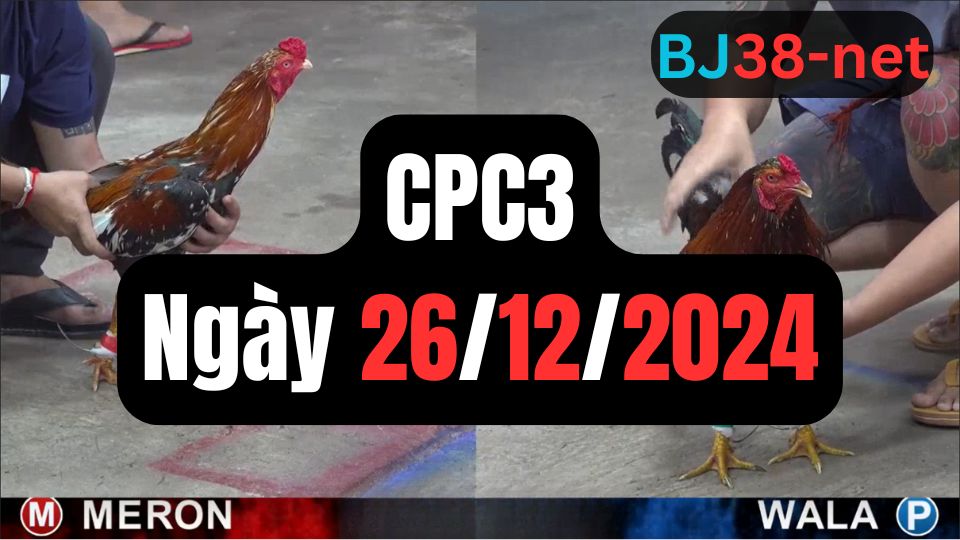 Xem đá gà CPC3 ngày 26-12-2024